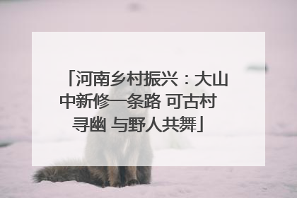 河南乡村振兴：大山中新修一条路 可古村寻幽 与野人共舞