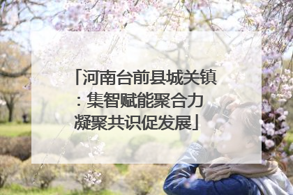 河南台前县城关镇：集智赋能聚合力 凝聚共识促发展