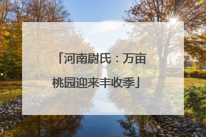 河南尉氏：万亩桃园迎来丰收季