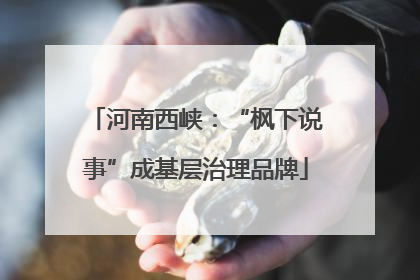 河南西峡：“枫下说事”成基层治理品牌