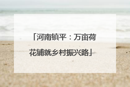 河南镇平：万亩荷花铺就乡村振兴路
