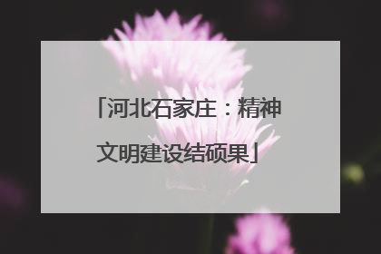 河北石家庄：精神文明建设结硕果