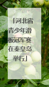 河北省青少年滑板冠军赛在秦皇岛举行