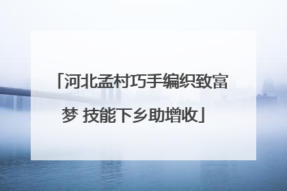 河北孟村巧手编织致富梦 技能下乡助增收