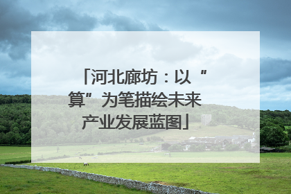 河北廊坊：以“算”为笔描绘未来产业发展蓝图
