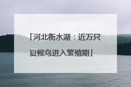 河北衡水湖：近万只夏候鸟进入繁殖期