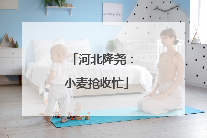 河北隆尧：小麦抢收忙