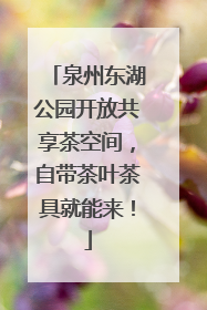 泉州东湖公园开放共享茶空间，自带茶叶茶具就能来！