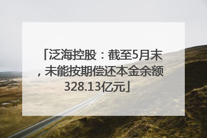泛海控股：截至5月末，未能按期偿还本金余额328.13亿元
