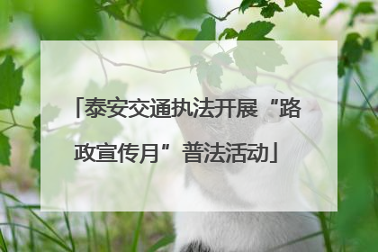 泰安交通执法开展“路政宣传月”普法活动