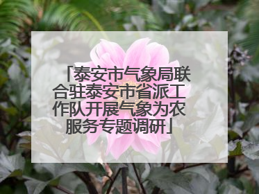 泰安市气象局联合驻泰安市省派工作队开展气象为农服务专题调研