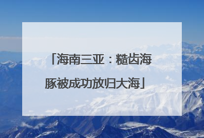 海南三亚：糙齿海豚被成功放归大海