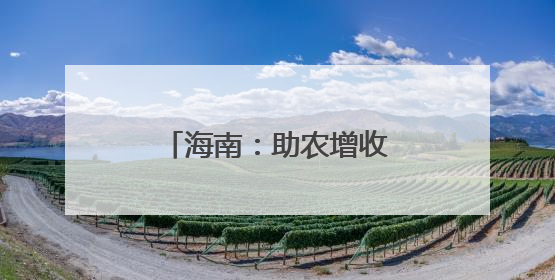 海南：助农增收 “黄金叶”