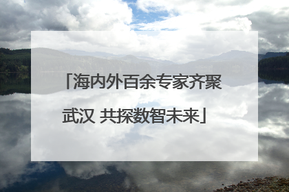 海内外百余专家齐聚武汉 共探数智未来