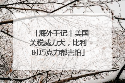海外手记｜美国关税威力大，比利时巧克力都害怕