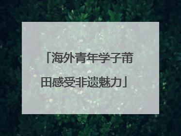 海外青年学子莆田感受非遗魅力