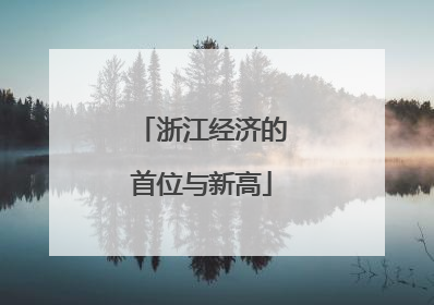 浙江经济的首位与新高