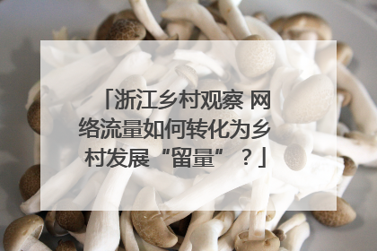 浙江乡村观察 网络流量如何转化为乡村发展“留量”？