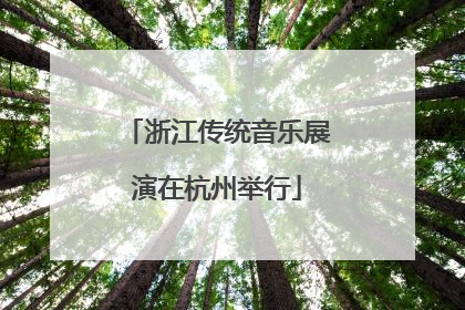 浙江传统音乐展演在杭州举行