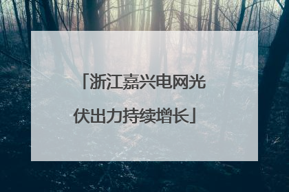 浙江嘉兴电网光伏出力持续增长