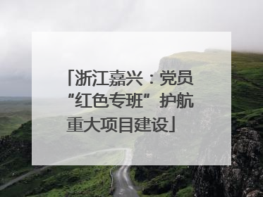 浙江嘉兴：党员“红色专班”护航重大项目建设