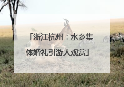浙江杭州：水乡集体婚礼引游人观赏