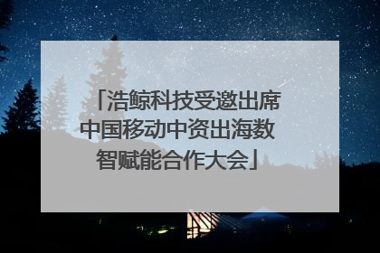 浩鲸科技受邀出席中国移动中资出海数智赋能合作大会