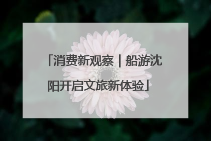 消费新观察｜船游沈阳开启文旅新体验