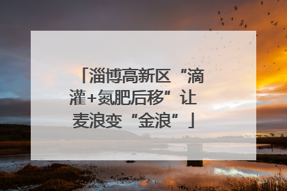 淄博高新区“滴灌+氮肥后移”让麦浪变“金浪”