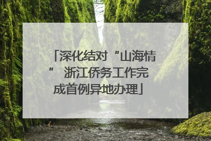 深化结对“山海情” 浙江侨务工作完成首例异地办理