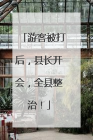 游客被打后，县长开会，全县整治！