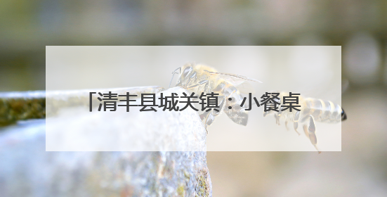 清丰县城关镇：小餐桌烹出 乡村养老新滋味