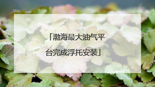 渤海最大油气平台完成浮托安装