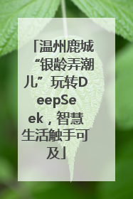 温州鹿城“银龄弄潮儿”玩转DeepSeek，智慧生活触手可及