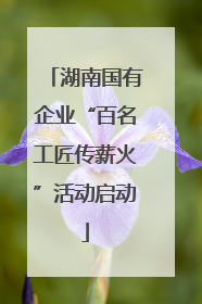 湖南国有企业“百名工匠传薪火”活动启动