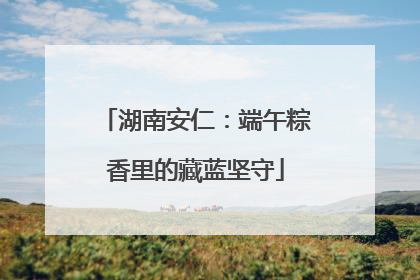 湖南安仁：端午粽香里的藏蓝坚守