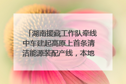 湖南援藏工作队牵线中车建起高原上首条清洁能源装配产线，本地大学生成车间检验员