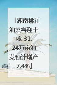 湖南桃江油菜喜迎丰收 31.24万亩油菜预计增产7.4%