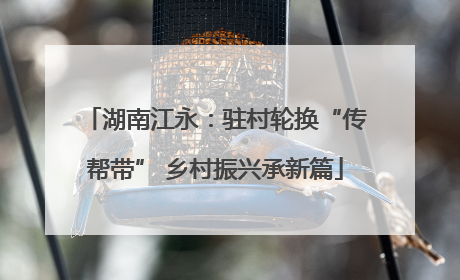 湖南江永：驻村轮换“传帮带” 乡村振兴承新篇