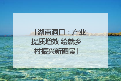 湖南洞口：产业提质增效 绘就乡村振兴新图景