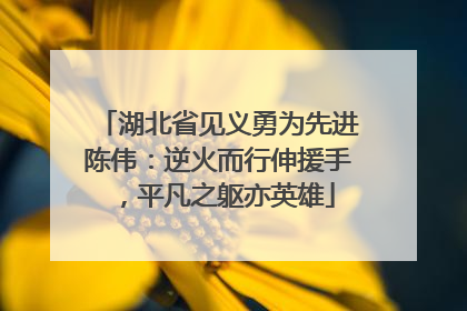 湖北省见义勇为先进陈伟：逆火而行伸援手，平凡之躯亦英雄