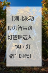 湖北移动助力智慧路灯管理迈入“AI＋灯链”时代