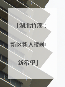 湖北竹溪：新区新人播种新希望