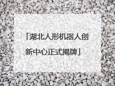湖北人形机器人创新中心正式揭牌