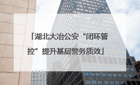 湖北大冶公安“闭环管控”提升基层警务质效