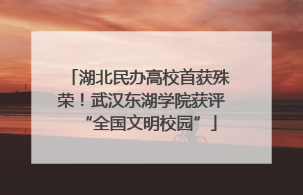 湖北民办高校首获殊荣！武汉东湖学院获评“全国文明校园”