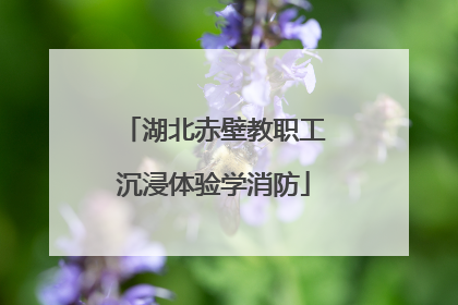 湖北赤壁教职工沉浸体验学消防