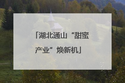 湖北通山“甜蜜产业”焕新机