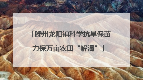 滕州龙阳镇科学抗旱保苗 力保万亩农田“解渴”