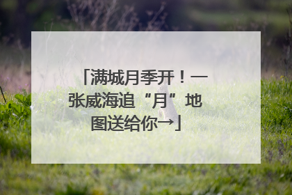 满城月季开！一张威海追“月”地图送给你→